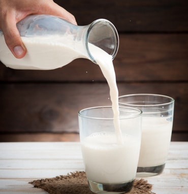 Low Fat Dairy and Weight Loss